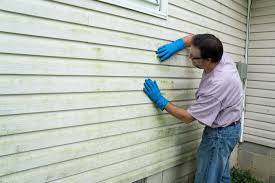 Best Vinyl Siding Installation  in Garfield Heights, OH